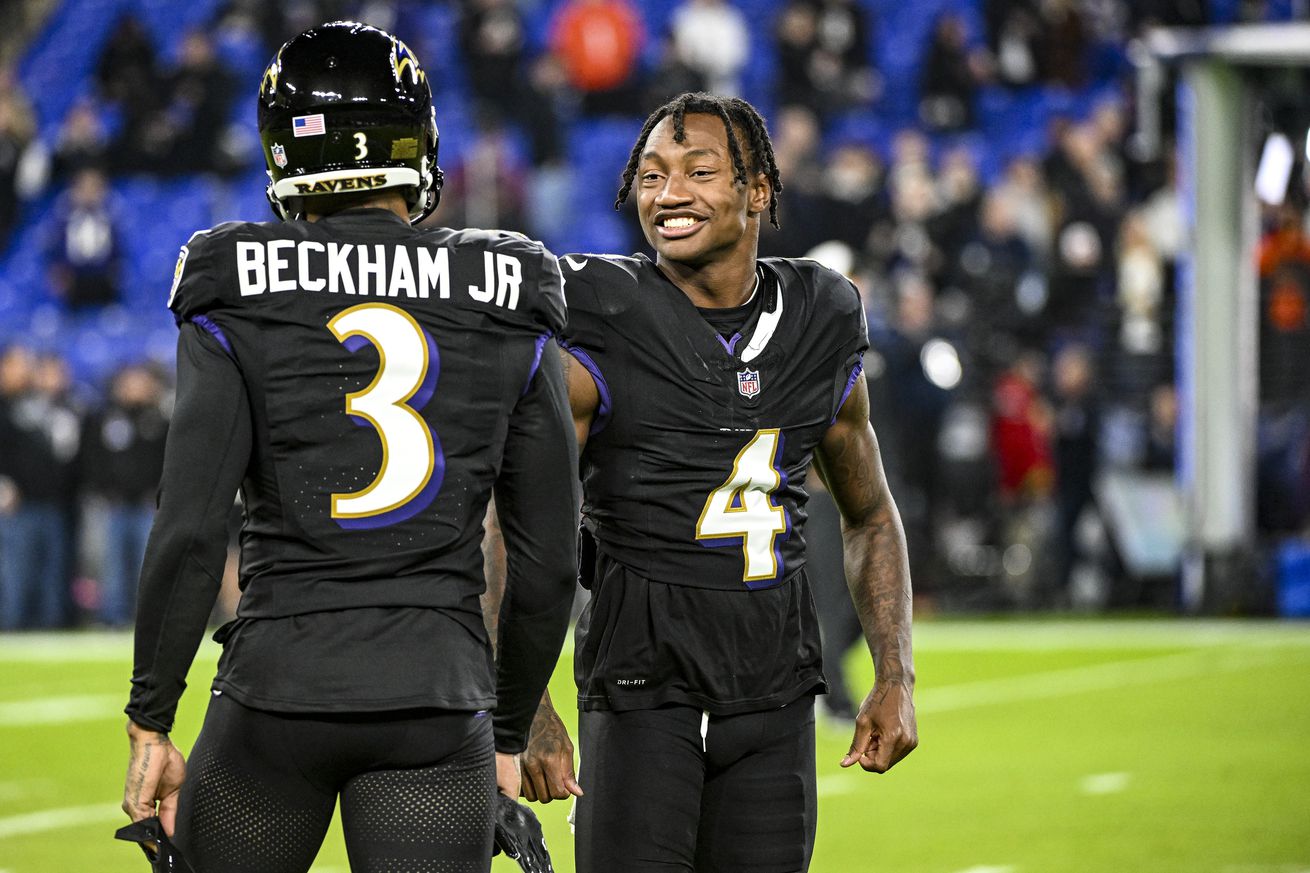 NFL: NOV 16 Bengals at Ravens