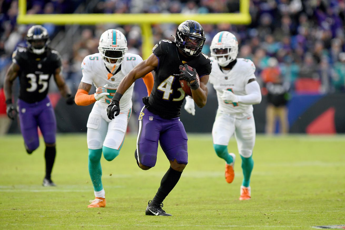 NFL: DEC 31 Dolphins at Ravens