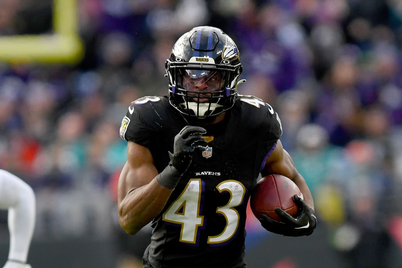 NFL: DEC 31 Dolphins at Ravens