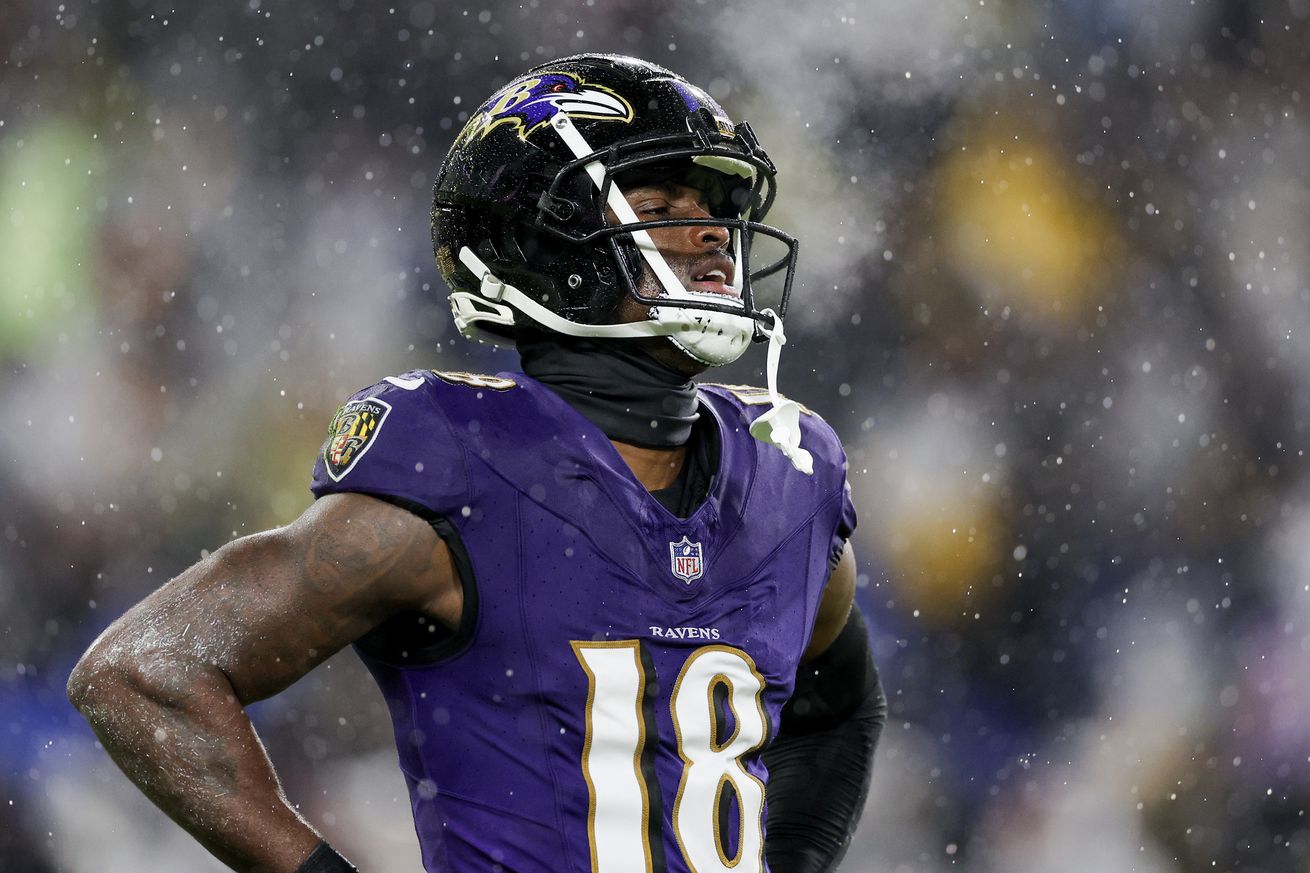 Pittsburgh Steelers v Baltimore Ravens