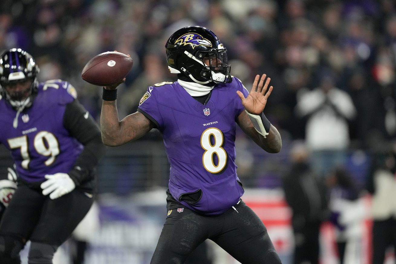 AFC Divisional Playoffs - Houston Texans v Baltimore Ravens