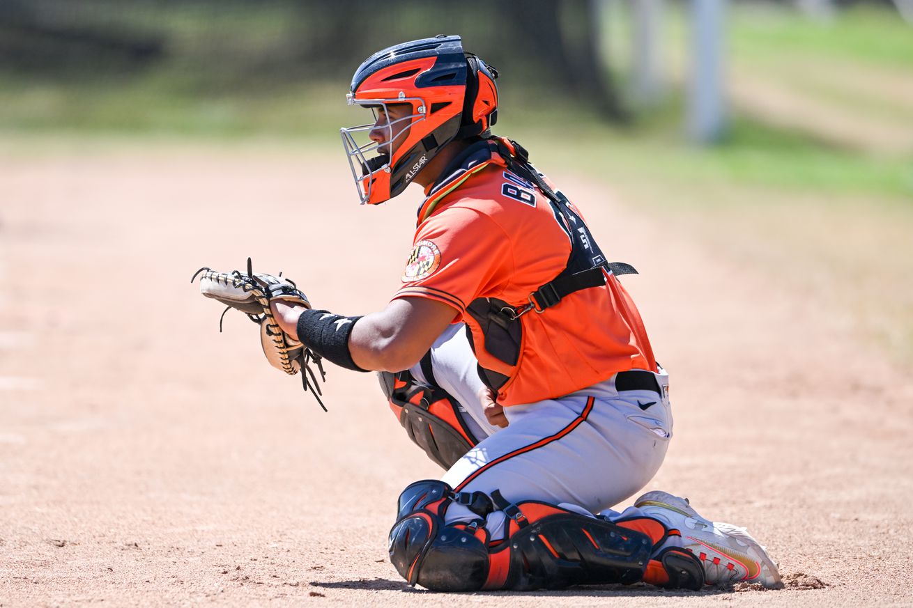 Atlanta Braves v Baltimore Orioles minor leaguers