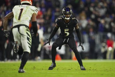 Cincinnati Bengals v Baltimore Ravens