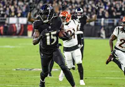 NFL: NOV 16 Bengals at Ravens