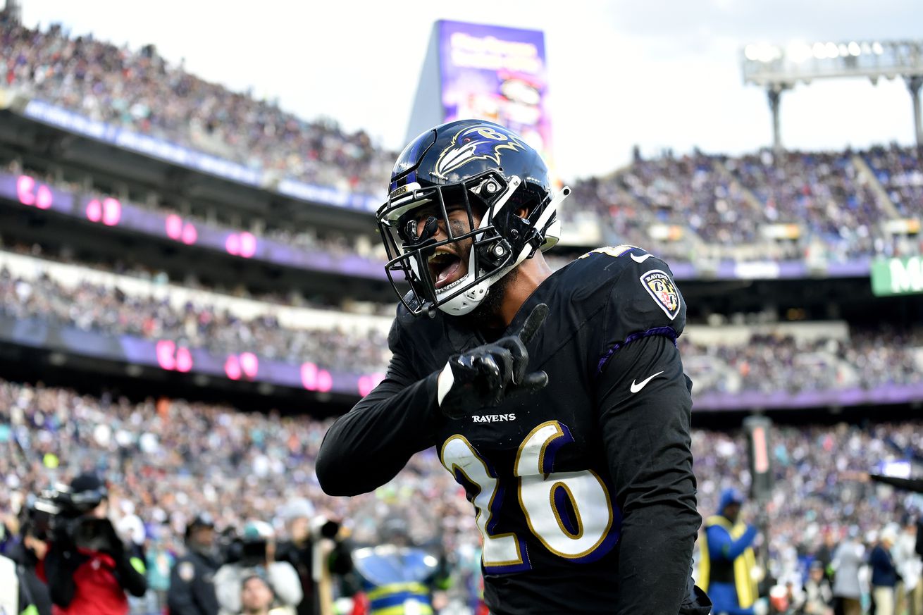 NFL: DEC 31 Dolphins at Ravens