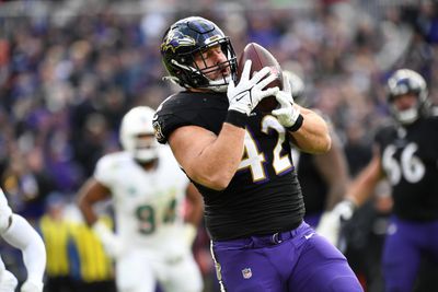 NFL: DEC 31 Dolphins at Ravens