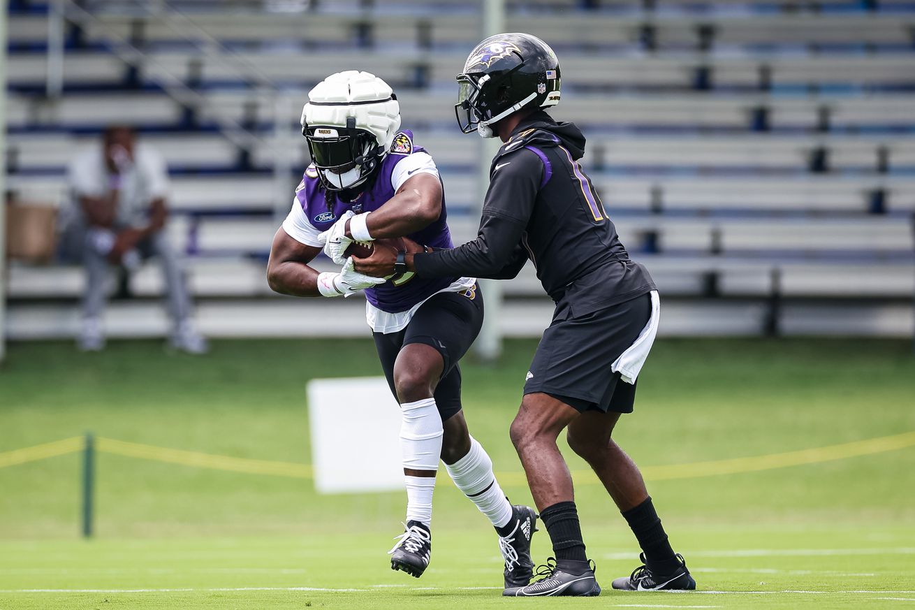 Baltimore Ravens Training Camp