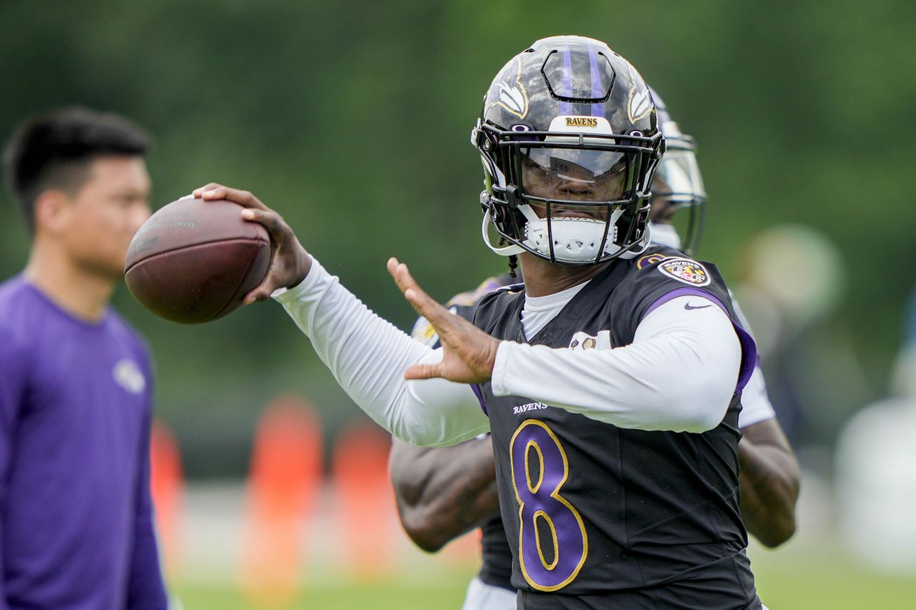 NFL: Baltimore Ravens Training Camp