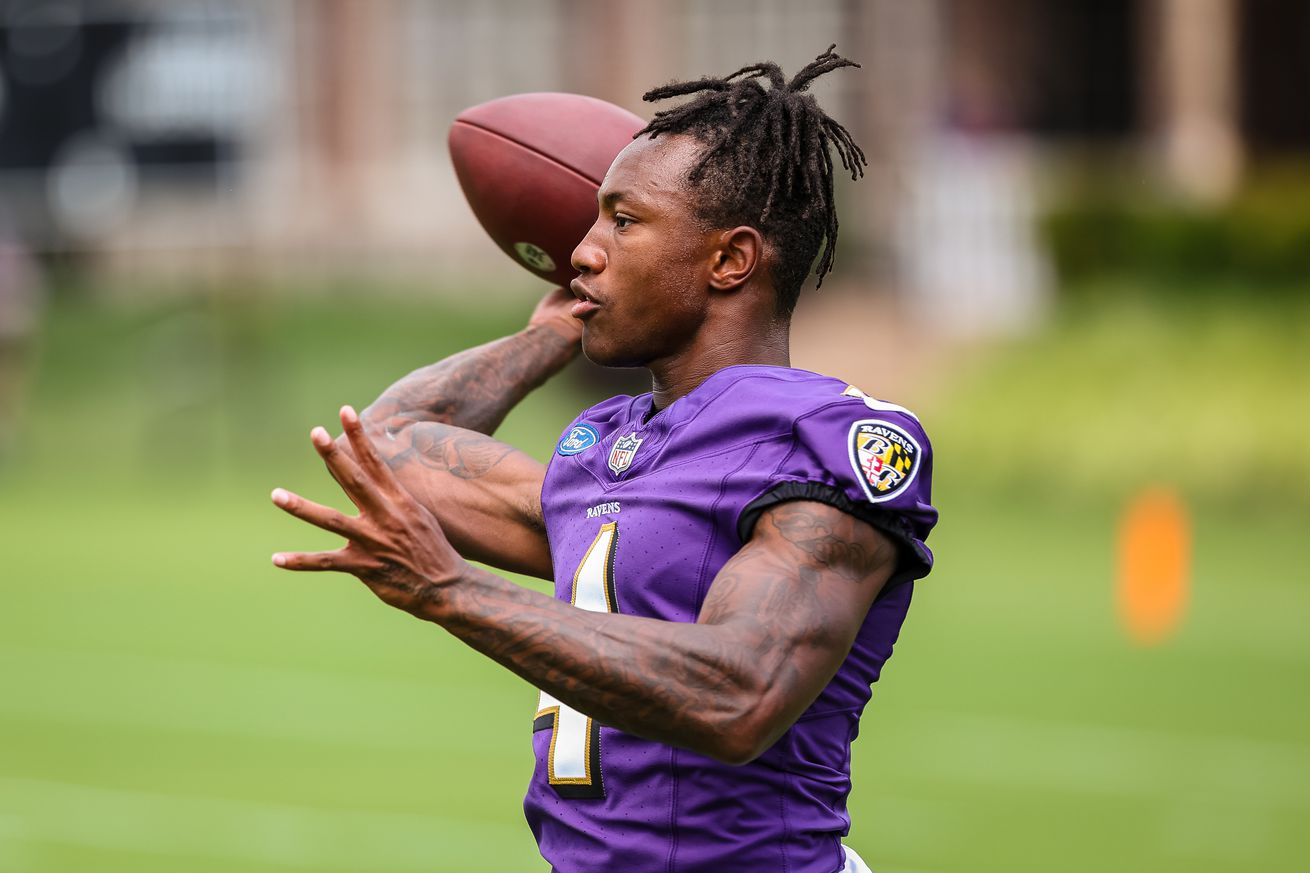 Baltimore Ravens Training Camp