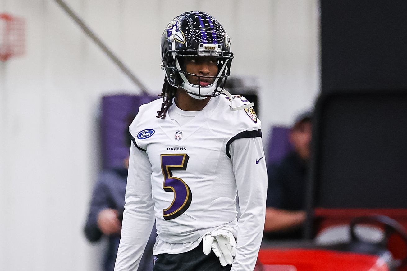 NFL: Baltimore Ravens Minicamp