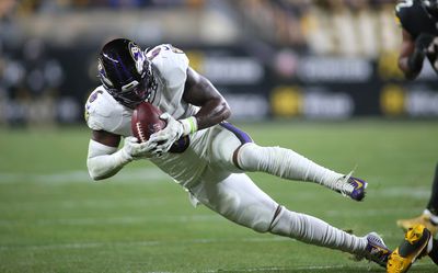 NFL: DEC 05 Ravens at Steelers