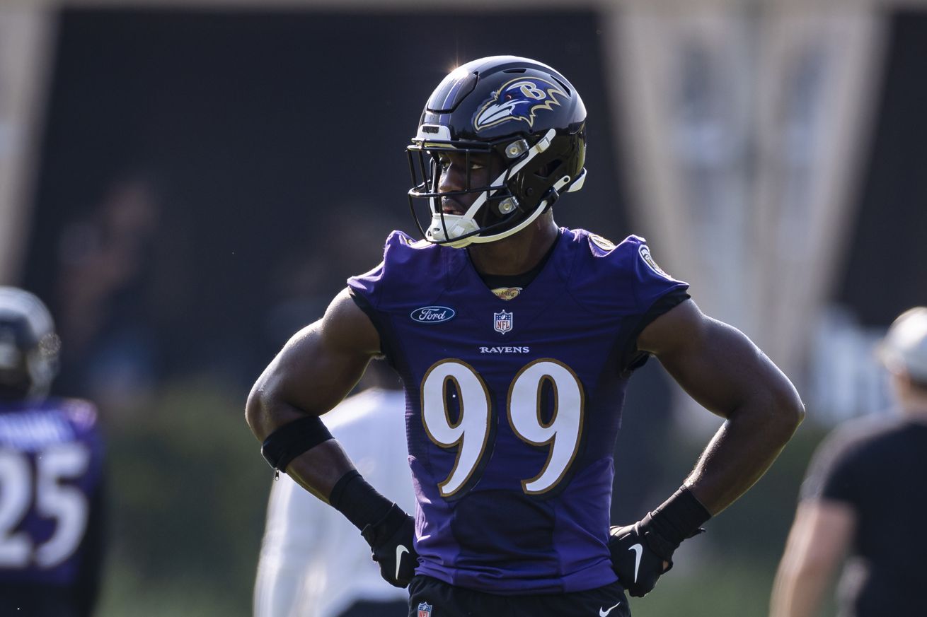 Baltimore Ravens Training Camp