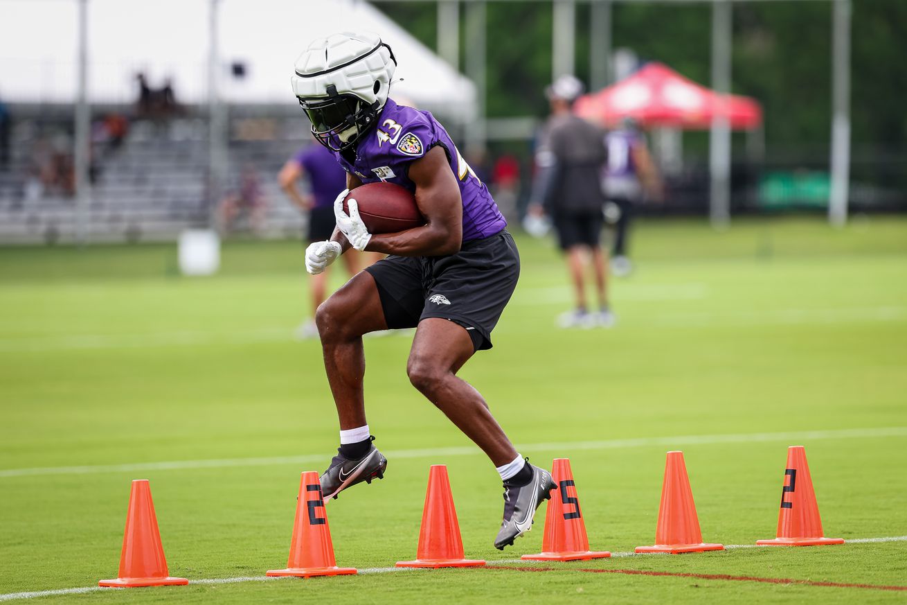 Baltimore Ravens Training Camp