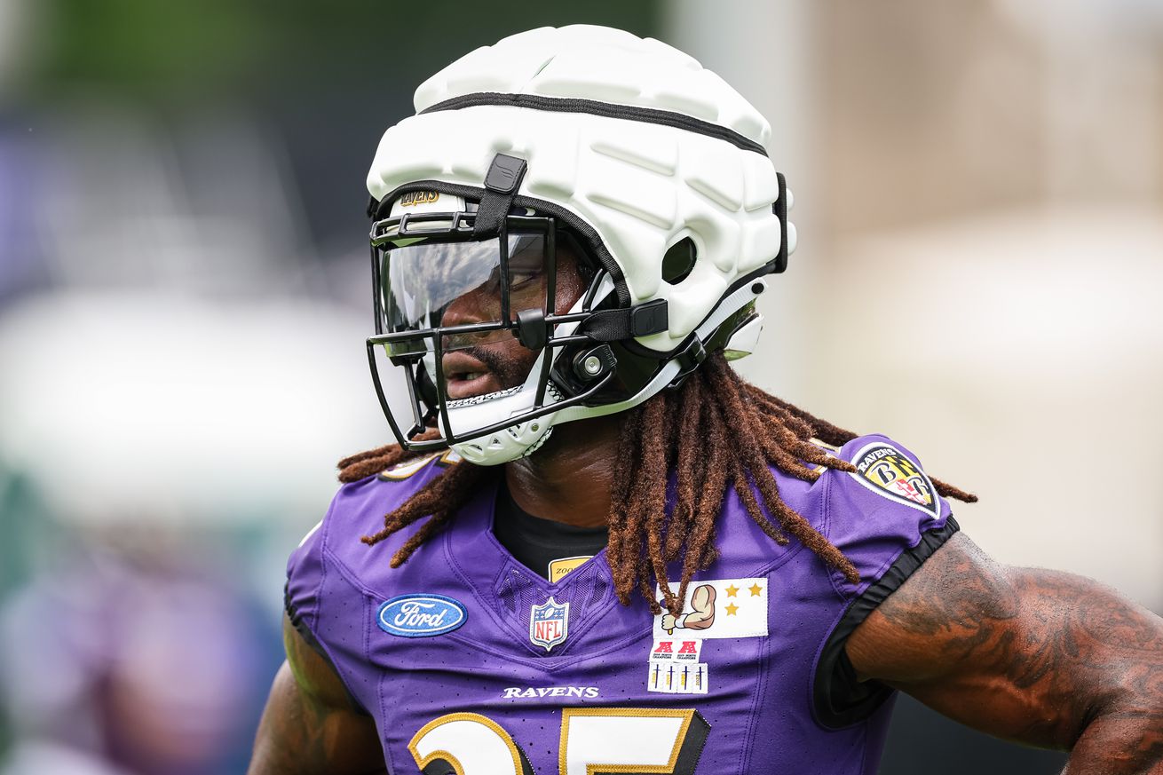 Baltimore Ravens Training Camp