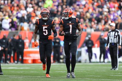 NFL: DEC 16 Vikings at Bengals