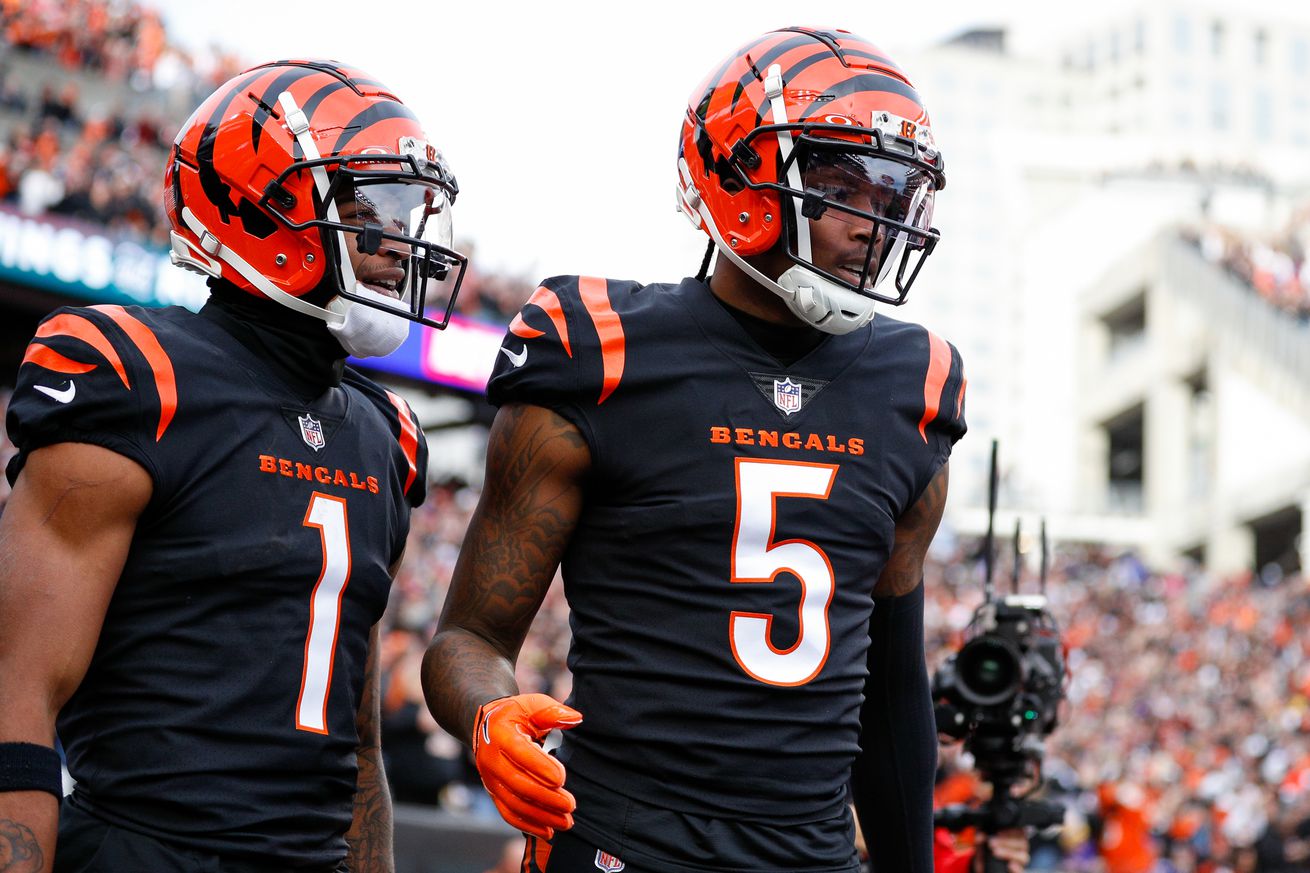 NFL: DEC 16 Vikings at Bengals