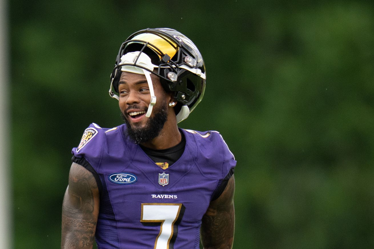 NFL: Baltimore Ravens Training Camp