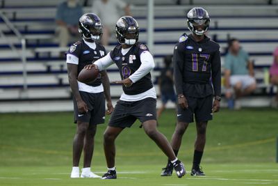 NFL: Baltimore Ravens Training Camp