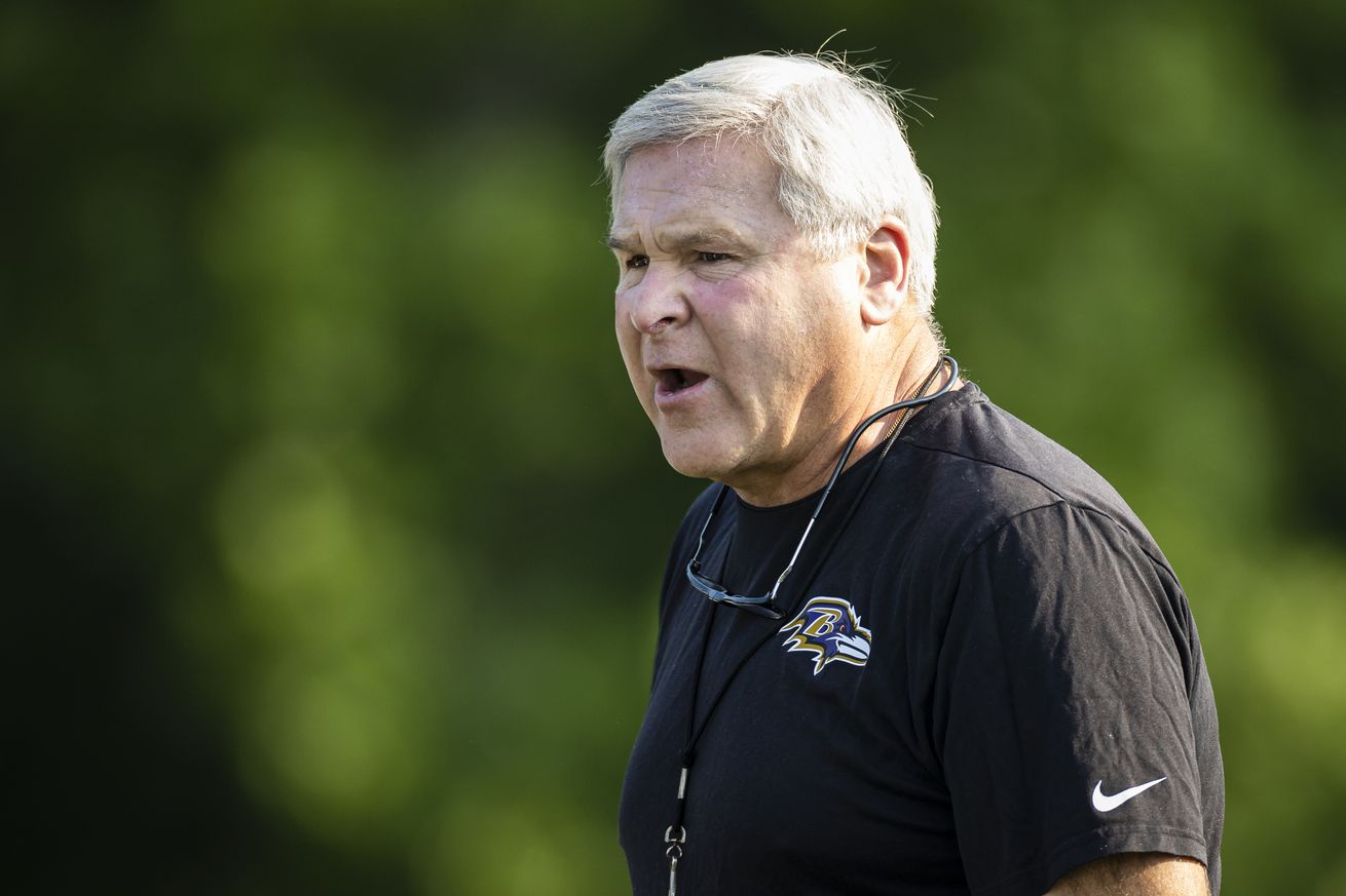 Baltimore Ravens Training Camp