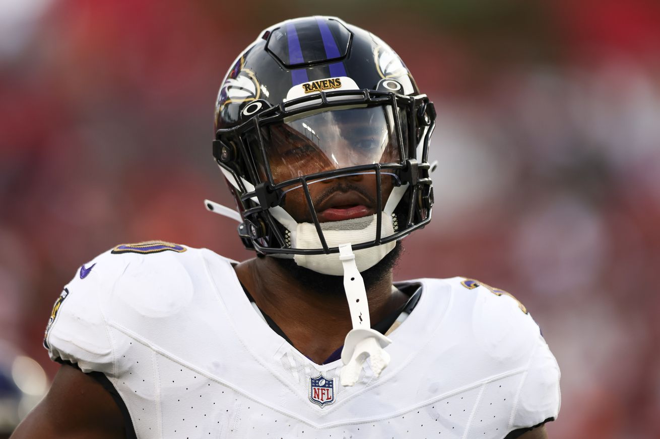 Baltimore Ravens v Tampa Bay Buccaneers