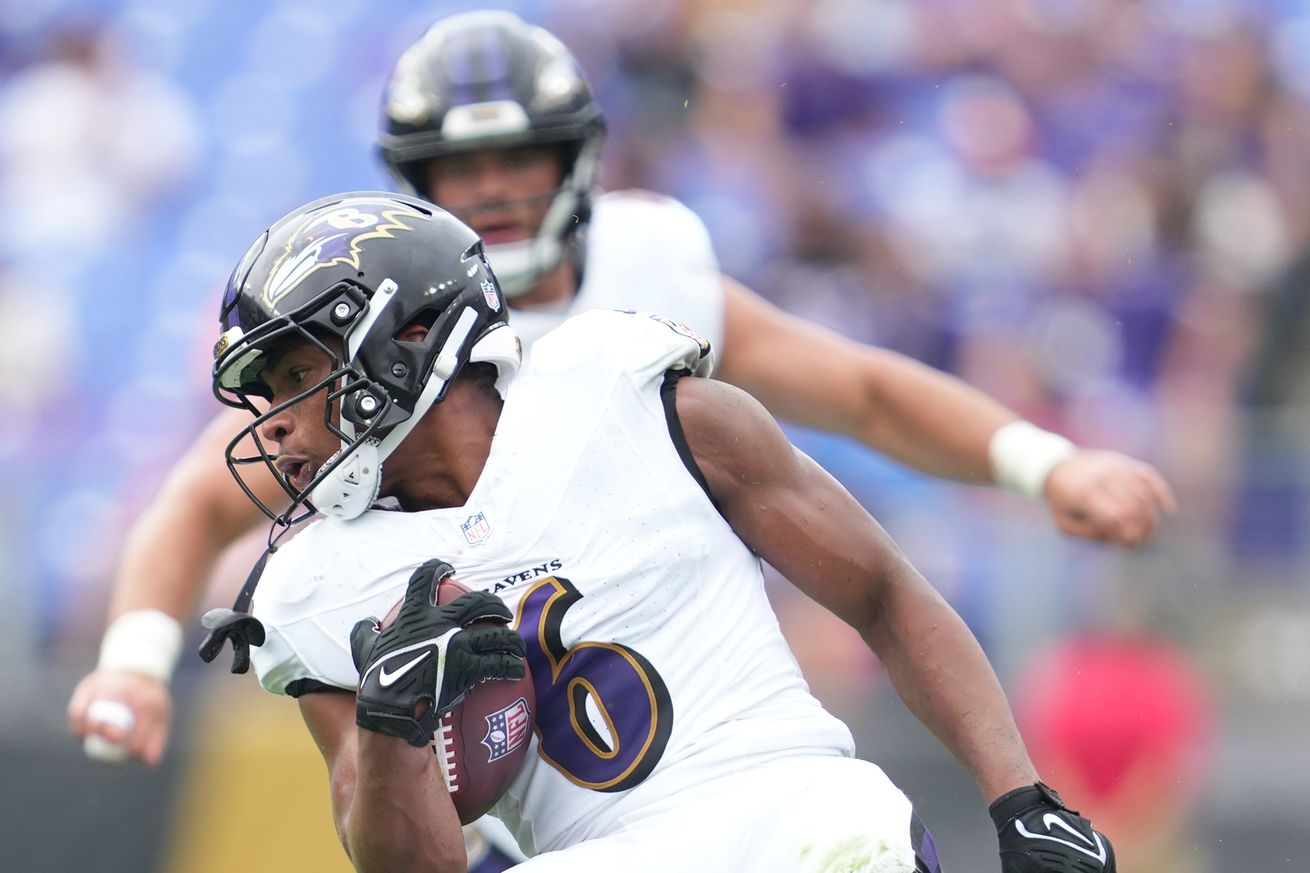 Atlanta Falcons v Baltimore Ravens