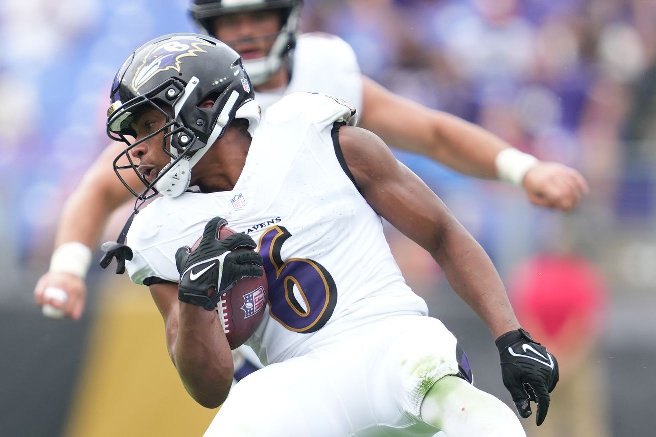Atlanta Falcons v Baltimore Ravens