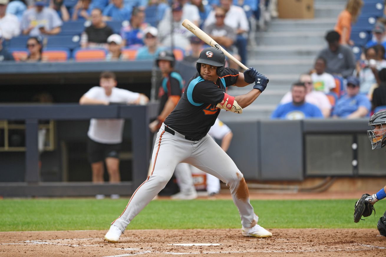 Bowie Baysox v Akron RubberDucks