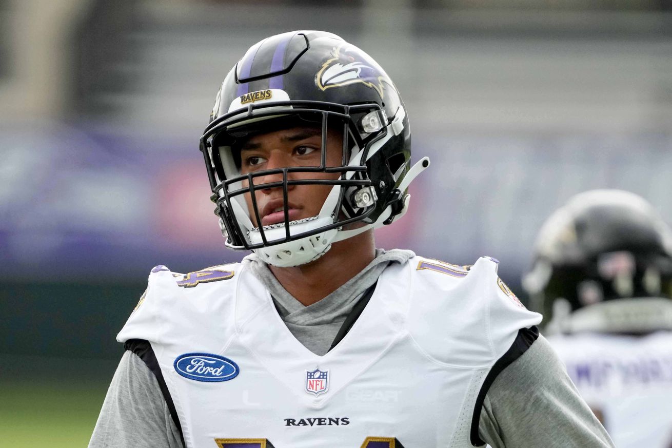 NFL: Baltimore Ravens Training Camp