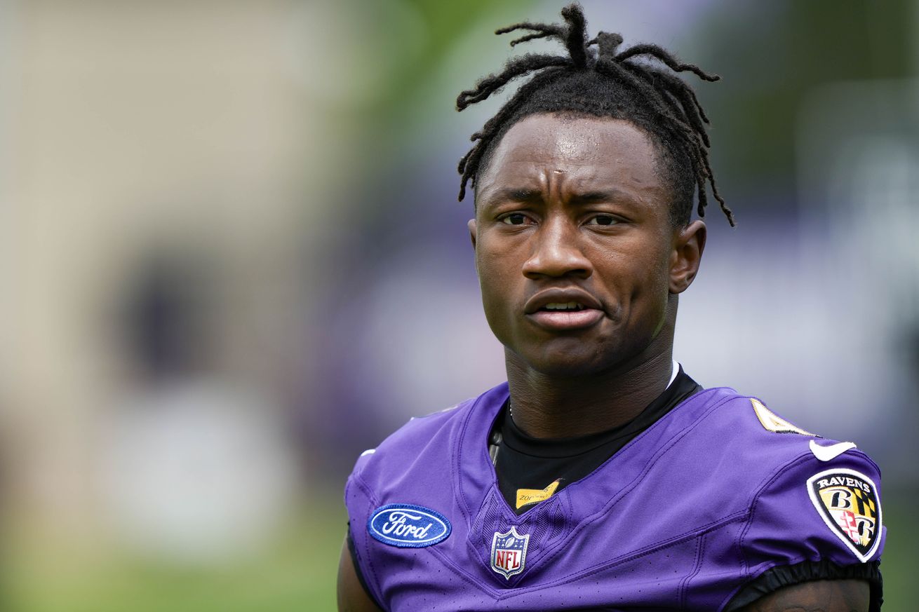 NFL: Baltimore Ravens Training Camp