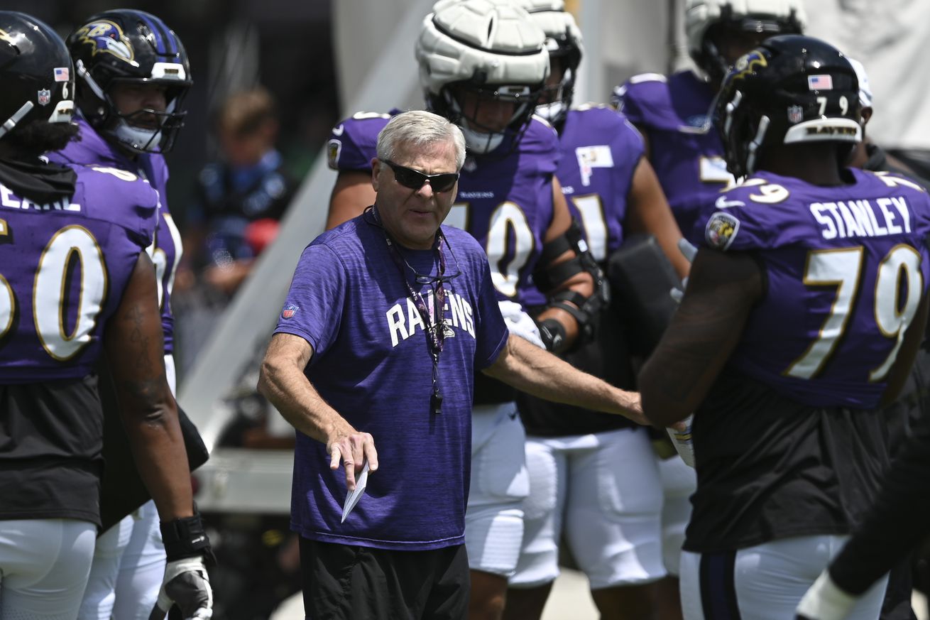 NFL: Baltimore Ravens Training Camp