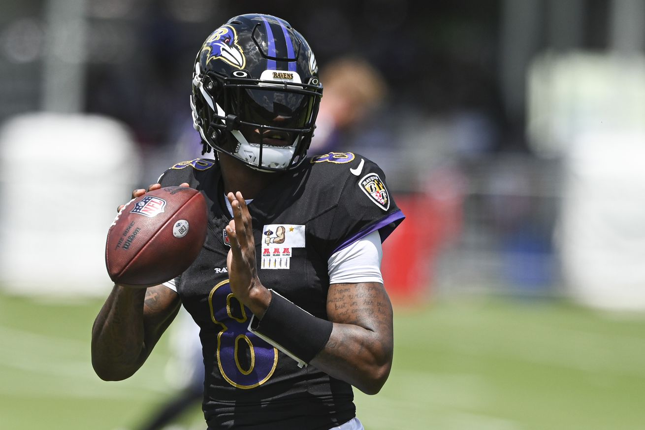 NFL: Baltimore Ravens Training Camp