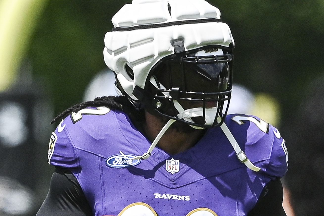 NFL: Baltimore Ravens Training Camp