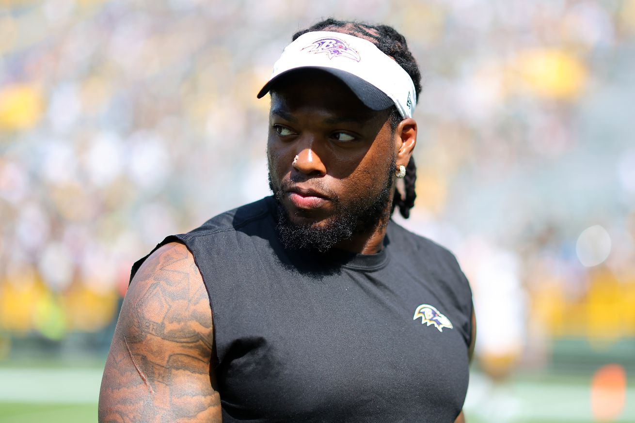 Baltimore Ravens v Green Bay Packers