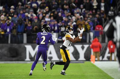 NFL: DEC 21 Steelers at Ravens