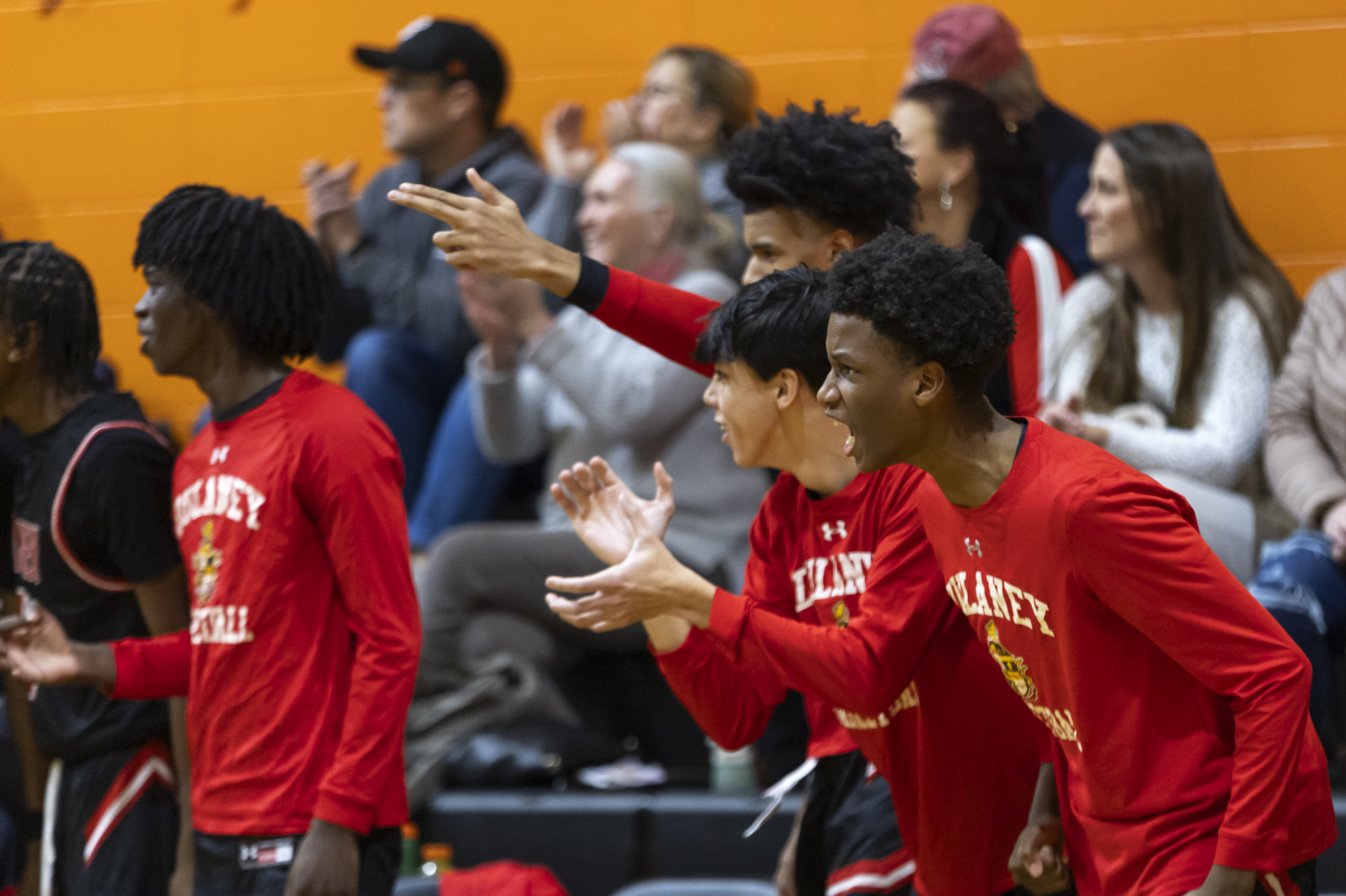 Dulaney’s bench get on their feet to celebrate a three...