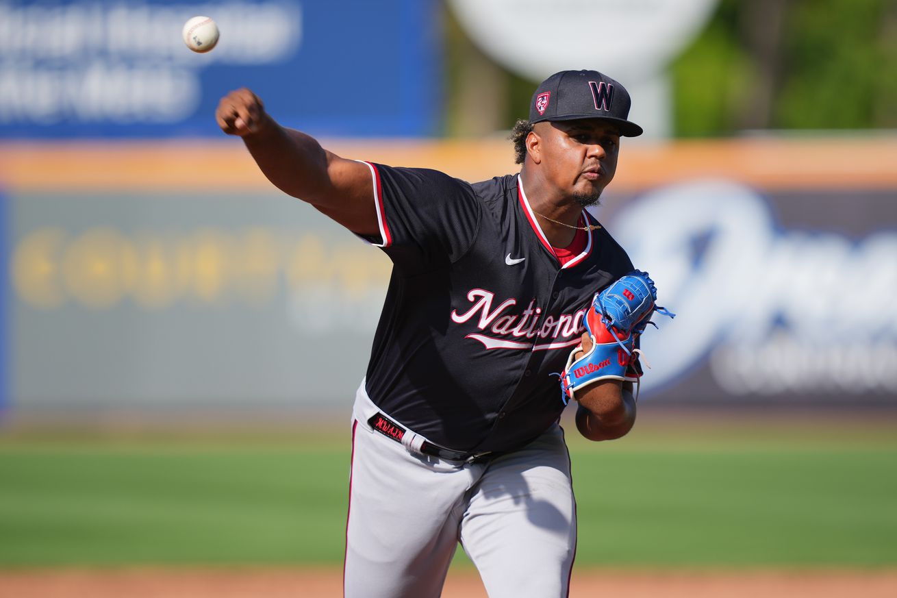 MLB: Spring Training-Washington Nationals at New York Mets