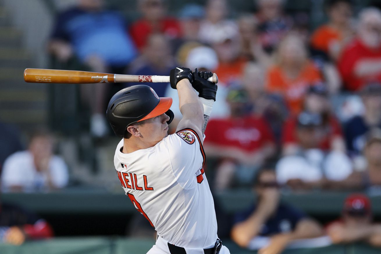 MLB: MAR 14 Spring Training Twins at Orioles