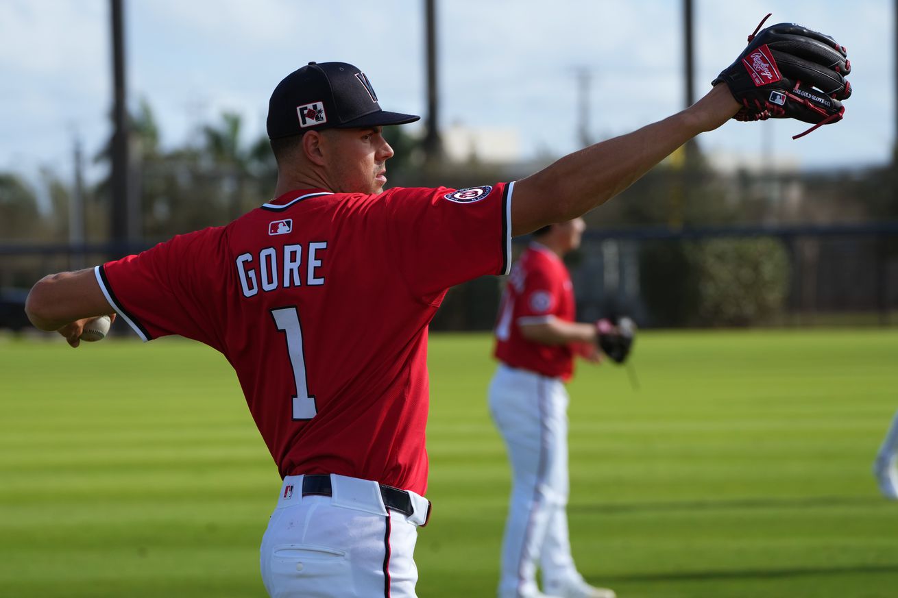 MLB: Washington Nationals-Workouts