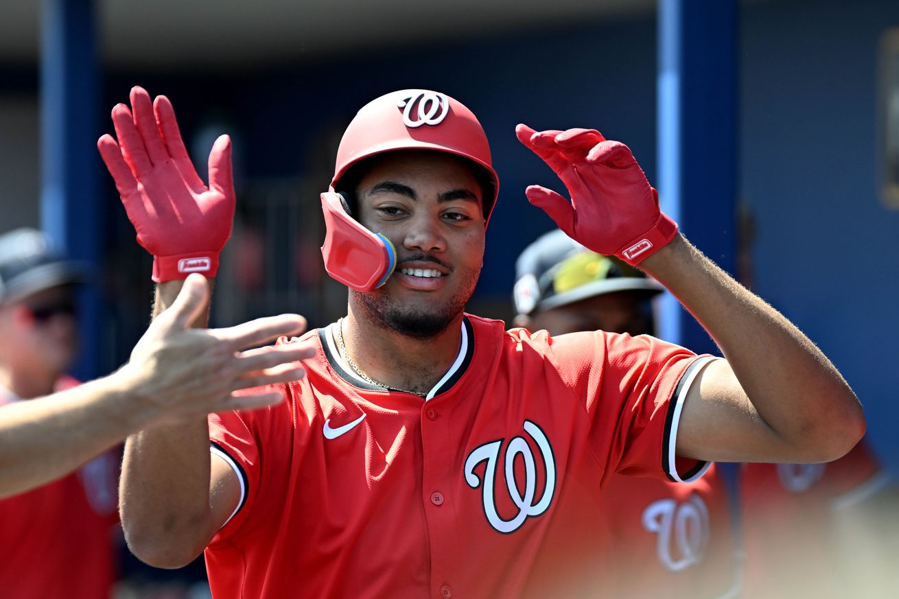 MLB: Spring Training-Washington Nationals at Tampa Bay Rays