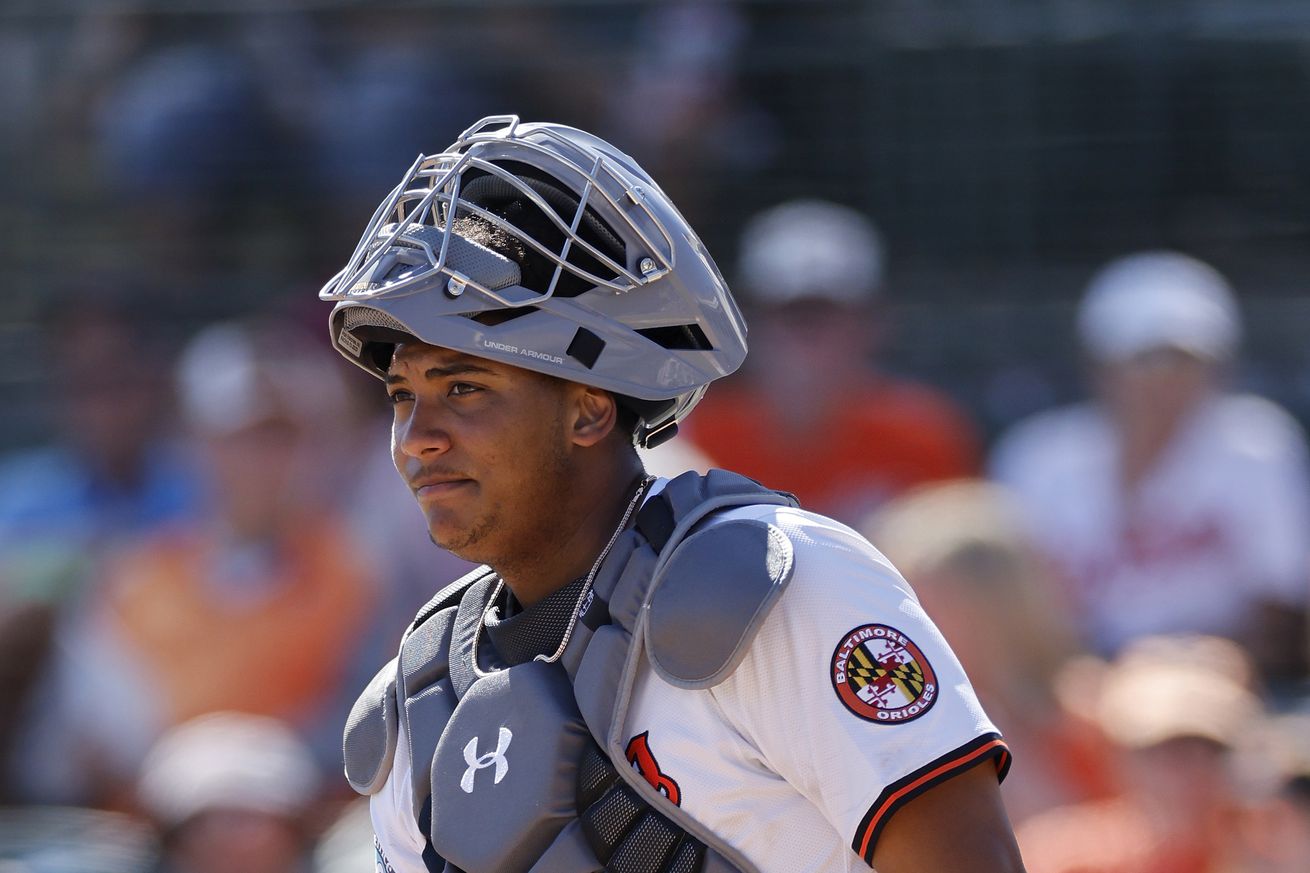 MLB: MAR 12 Spring Training Braves at Orioles