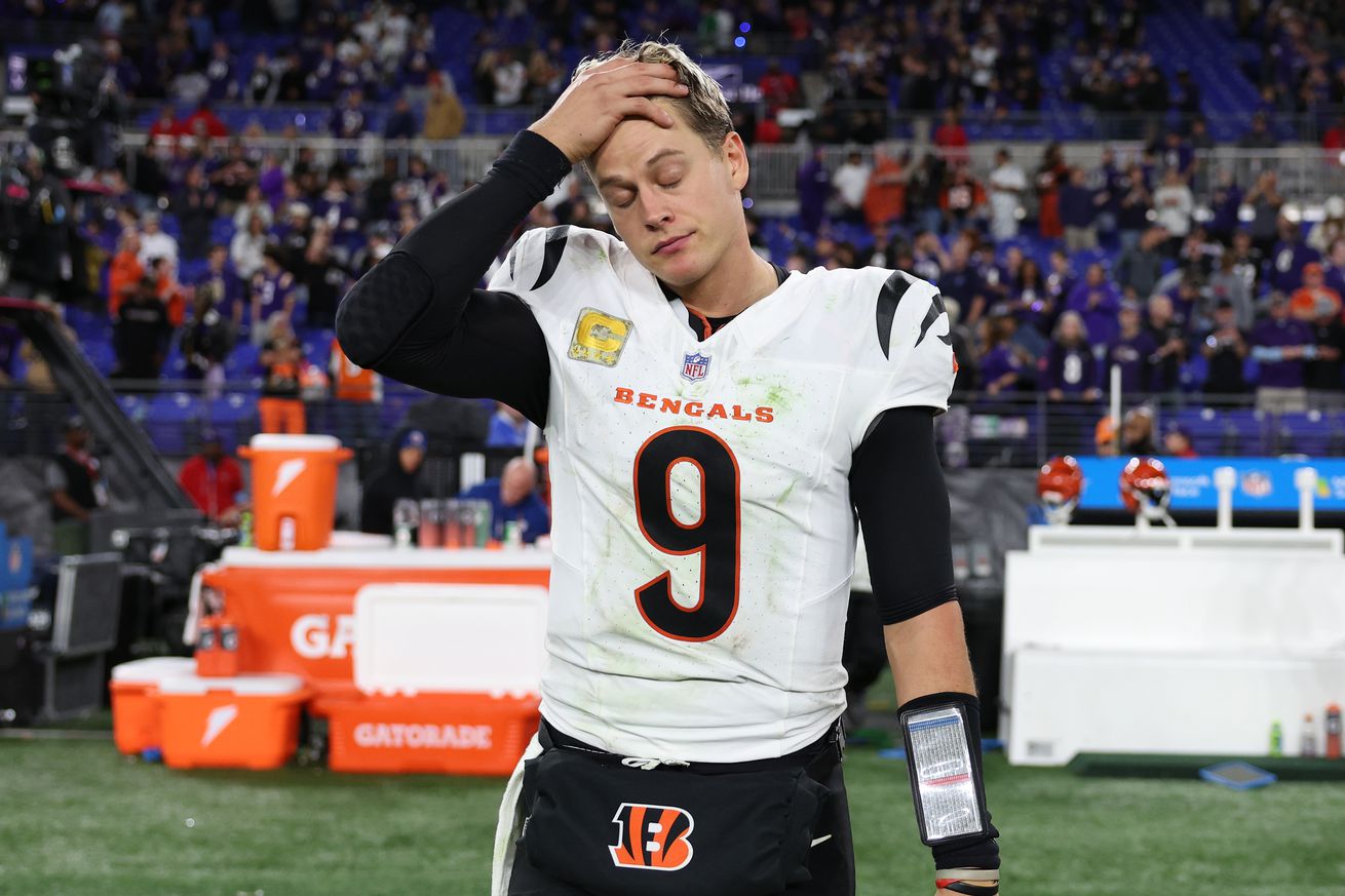 Cincinnati Bengals v Baltimore Ravens