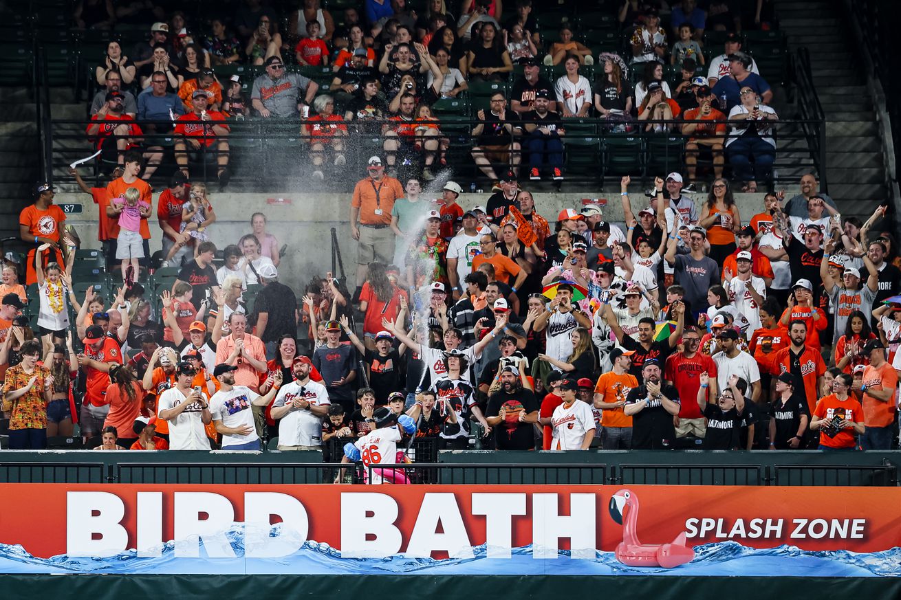 Detroit Tigers v Baltimore Orioles