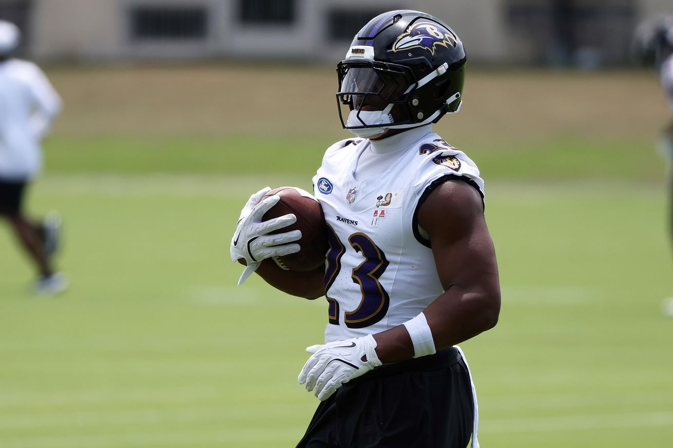 NFL: Baltimore Ravens Minicamp