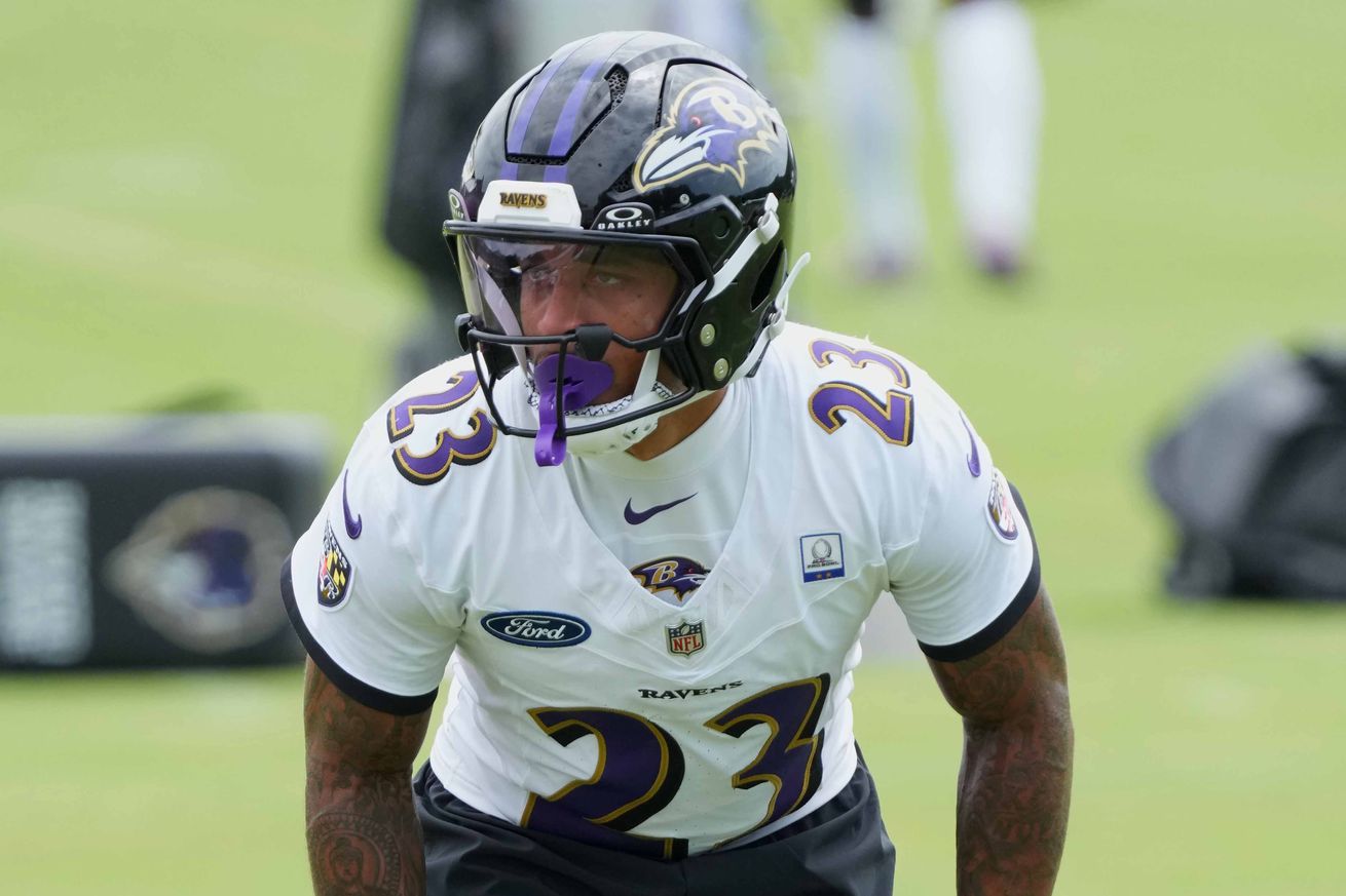 NFL: Baltimore Ravens Training Camp
