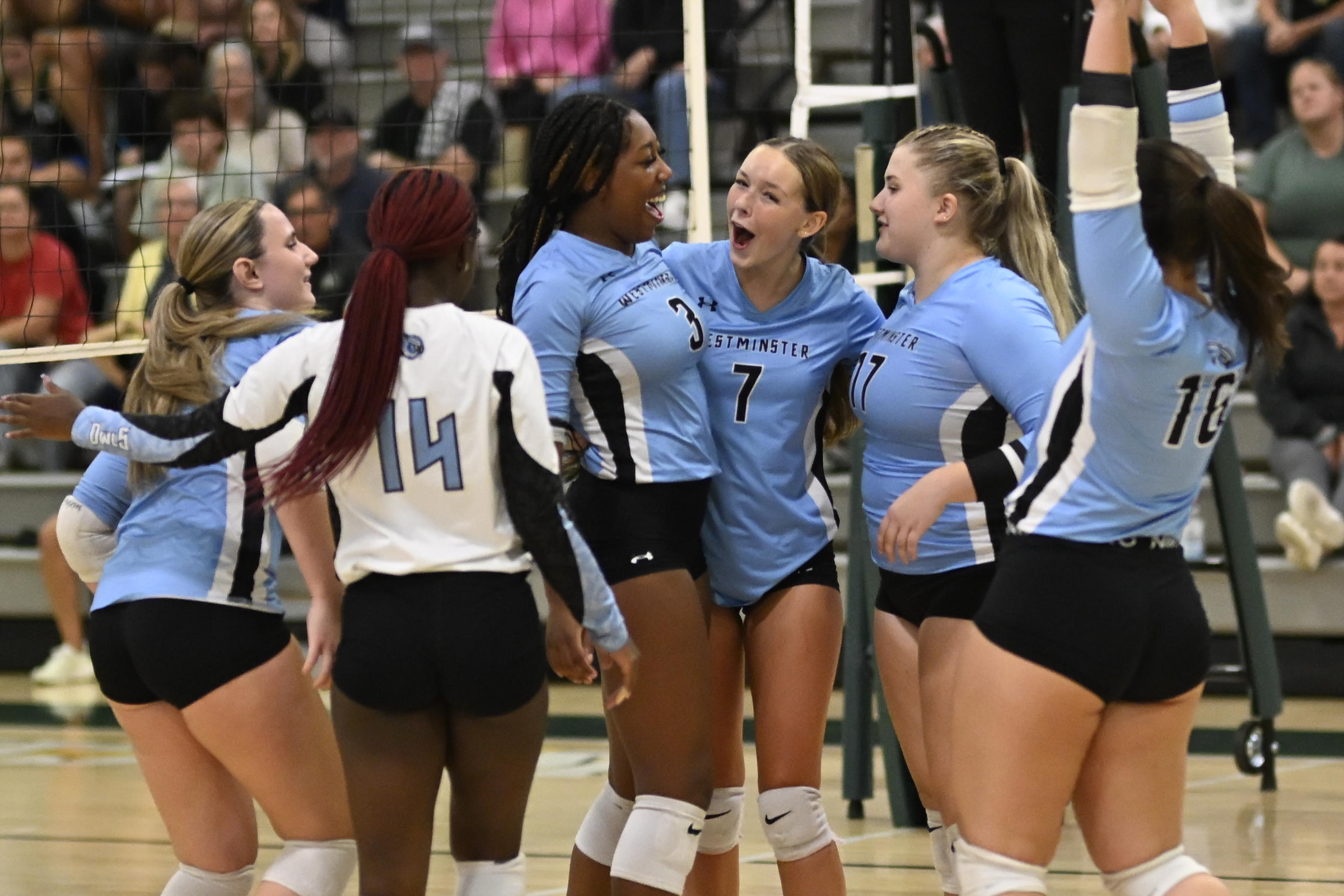 The Westminster team celebrates winning a point during a volleyball...