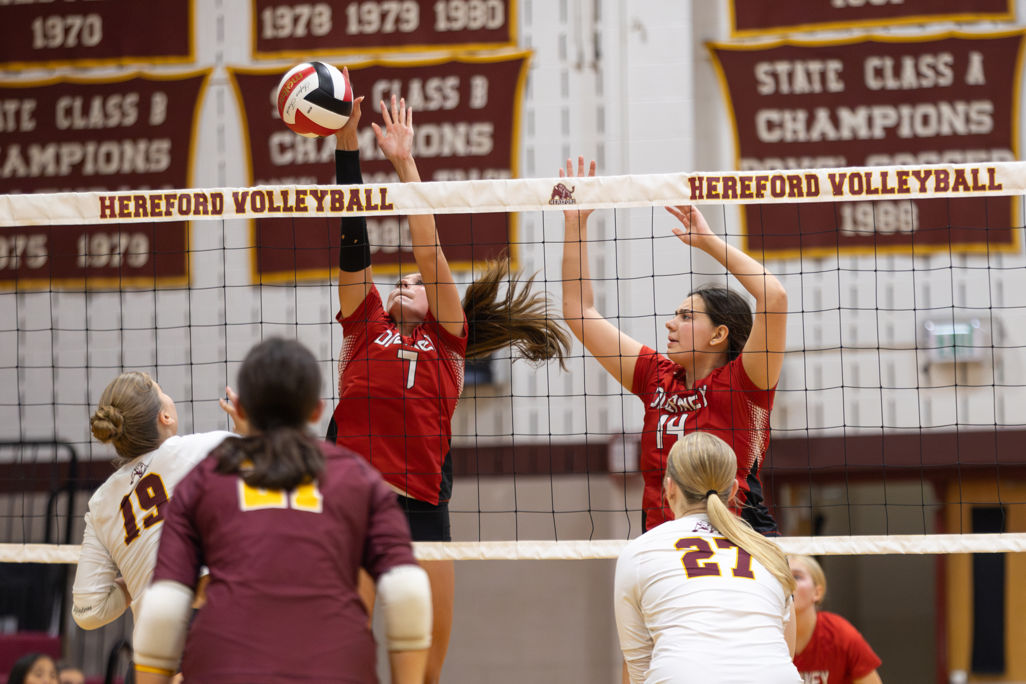 Dulaney’s Serafina Reckamp blocks a shot from Hereford during the...