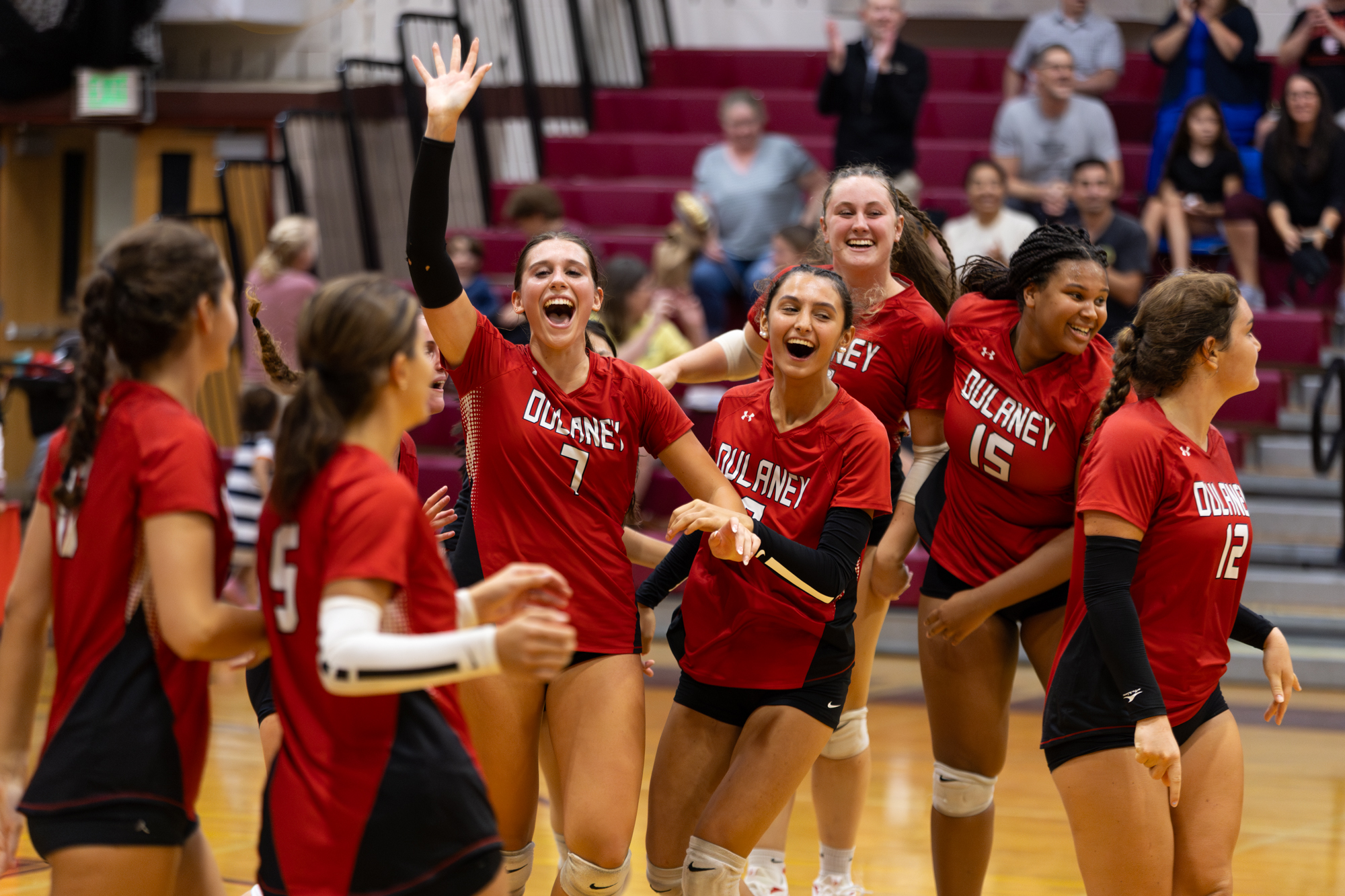 The Dulaney Lions celebrate after winning the final set over...