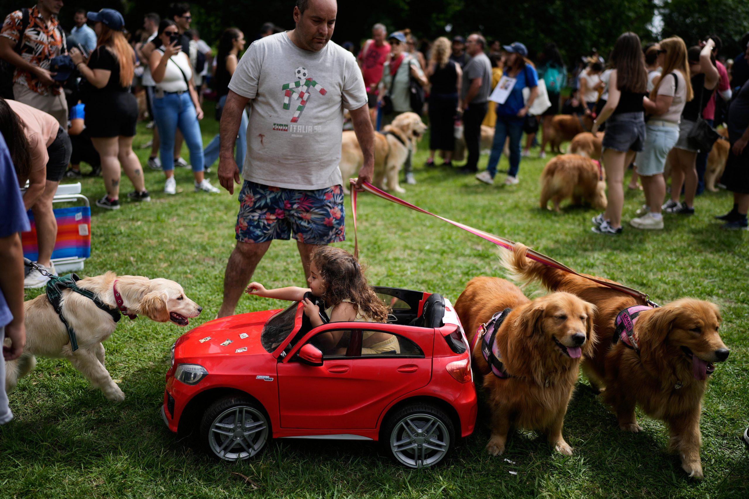 A girl offers a treat to a dog in a...