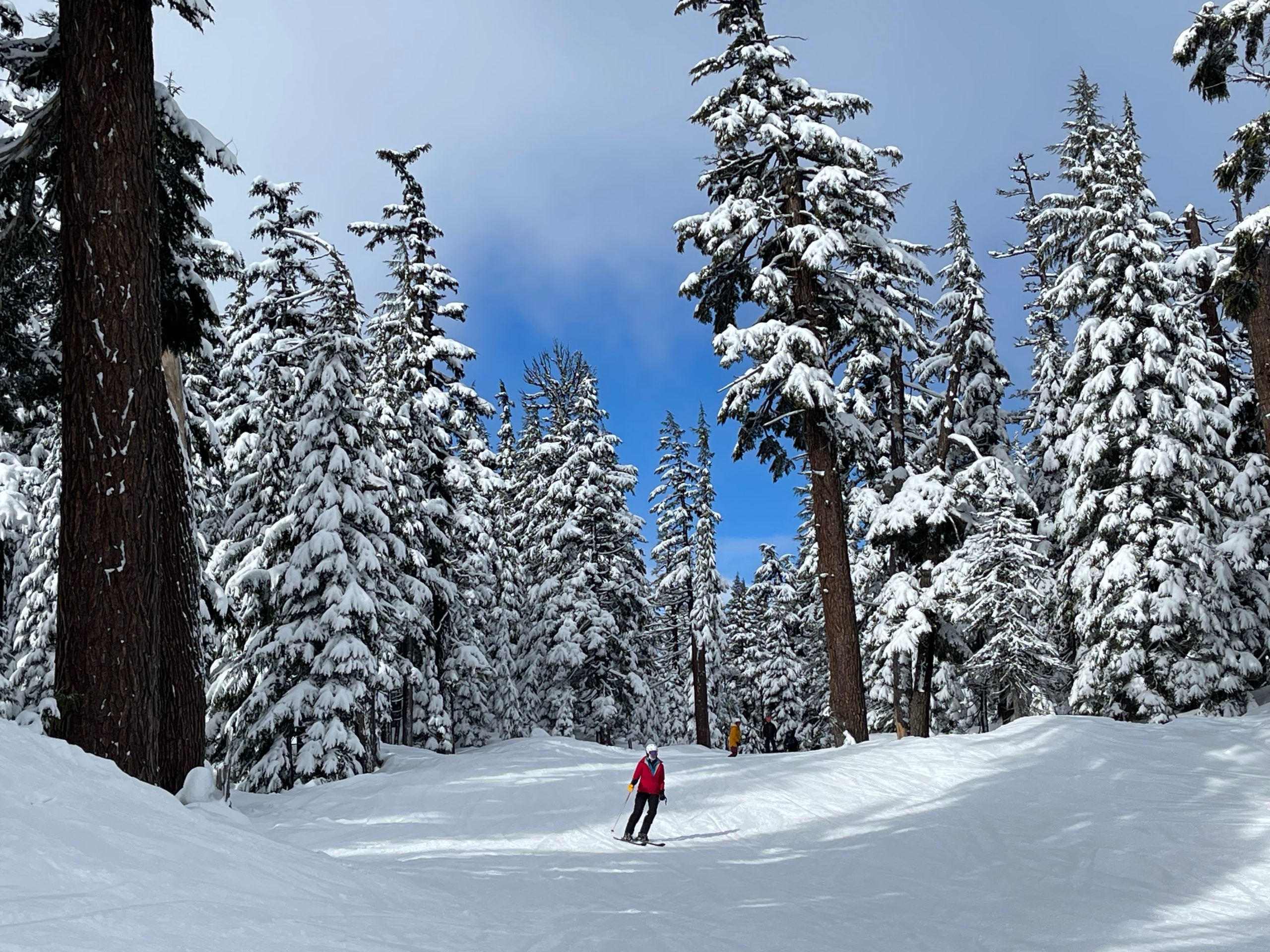 Skiing the wide open lower slopes of Mt. Bachelor after...